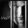 Angel 的头像