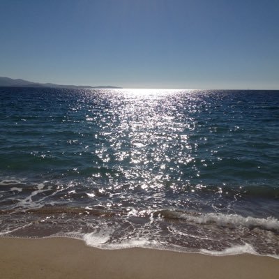 Philippe Guilbaud's profile picture