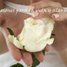 ReflexioneParaTuVida's profile picture