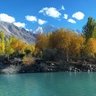 Фото профиля Amna Gilani