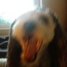 Profilbild von Veronika-Elizabeth