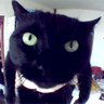 Tousoft profil fotoğrafı