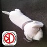ぽよよん's profile picture