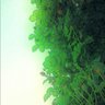 る-るるる profil fotoğrafı