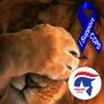 Elle Christensen's profile picture