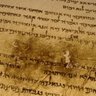 JesusKeptKosher profil fotoğrafı
