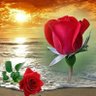 Profilbild von .........