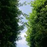 Фото профиля العوضي