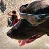 Profilbild von Tincho12