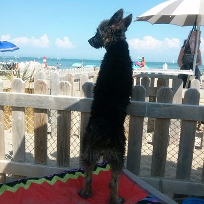 leaathenatabako's profile picture