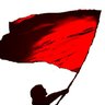 Carriola_33's profile picture