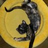 ★Lagattonza★'s profile picture