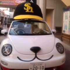 turboturbonori's profile picture