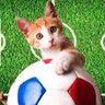 ネコスポ's profile picture