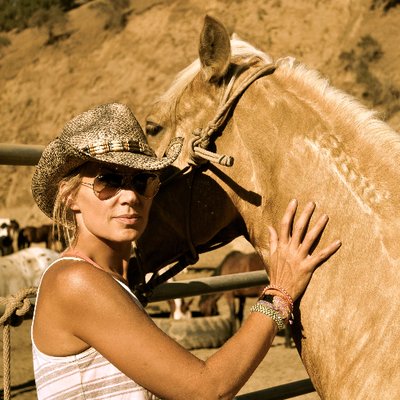 skydogsanctuary's profile picture