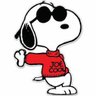 Profilbild von Joe Cool