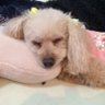 Profilbild von さえ