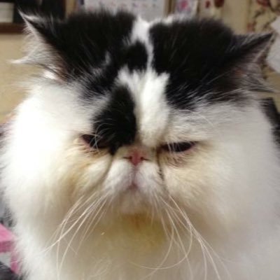 mitikusa_matsu's profile picture