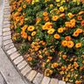 Фото профиля なるなる