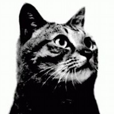 hi_doi's profile picture