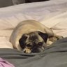 Donna's profile picture