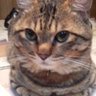 どら profil fotoğrafı