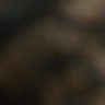 Profilbild von Saeed