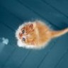 mai_2020 profil fotoğrafı