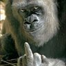 Luis Juan Riquelme's profile picture