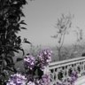 متذوق profil fotoğrafı