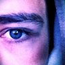 L'Oeil du Web profil fotoğrafı