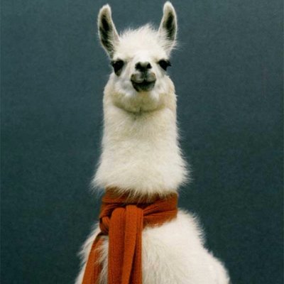 Adama's profile picture