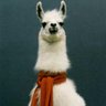 Profilbild von Adama