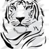kaplan's profile picture