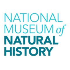 Smithsonian NMNH's profile picture