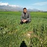 akram jumeau 的头像