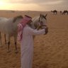 جابر المري's profile picture