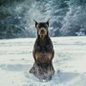 Фото профиля BMahdy