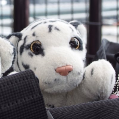 iMp's profile picture