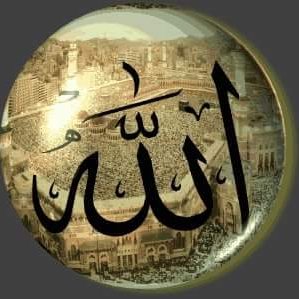 nsor2644's profile picture