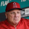 Angry Mike Scioscia profil fotoğrafı
