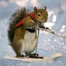 Profilbild von Jeff Hobbs