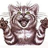Lenny Buckler's profile picture