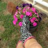Tracey BoBacey's profile picture