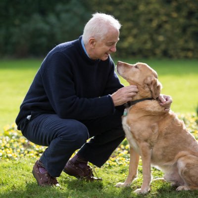 David215Gower's profile picture