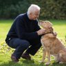 Фото профиля David Gower