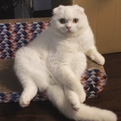 s_sekko's profile picture