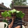 Pete Moss's profile picture