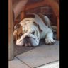 Фото профиля Kev mac