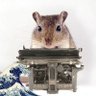 Annapolis57's profile picture